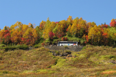 f0182173_17197.jpg