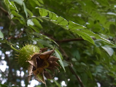 f0083977_183492.jpg