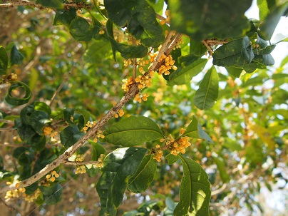 c0183878_2051575.jpg