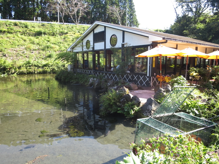 b0339488_21121220.jpg