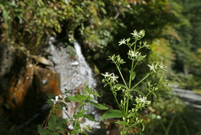 f0000789_20211919.jpg