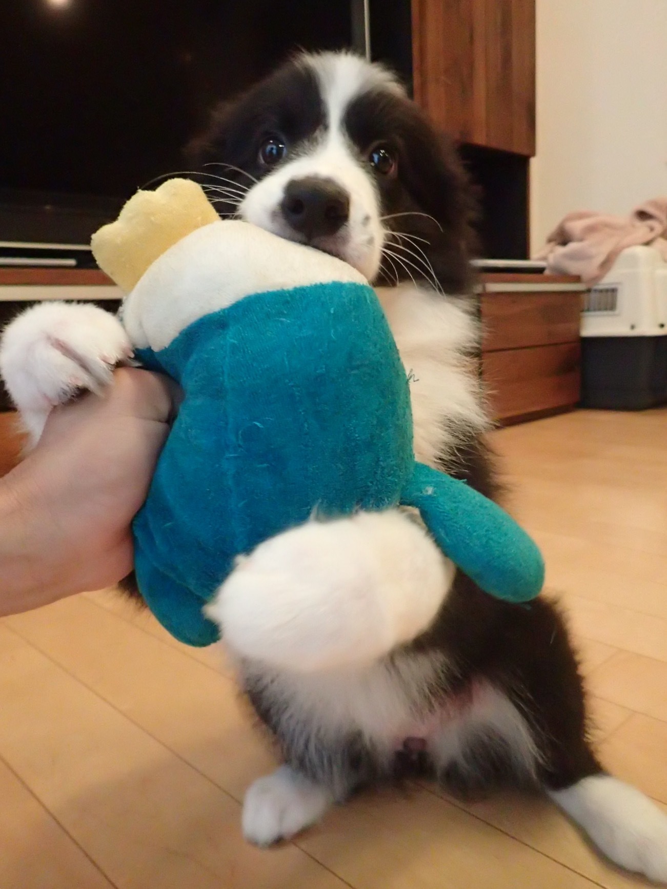 b0204498_23535040.jpeg