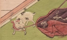 猫の物語２（Le conte de chat２）_c0345705_11020352.jpg