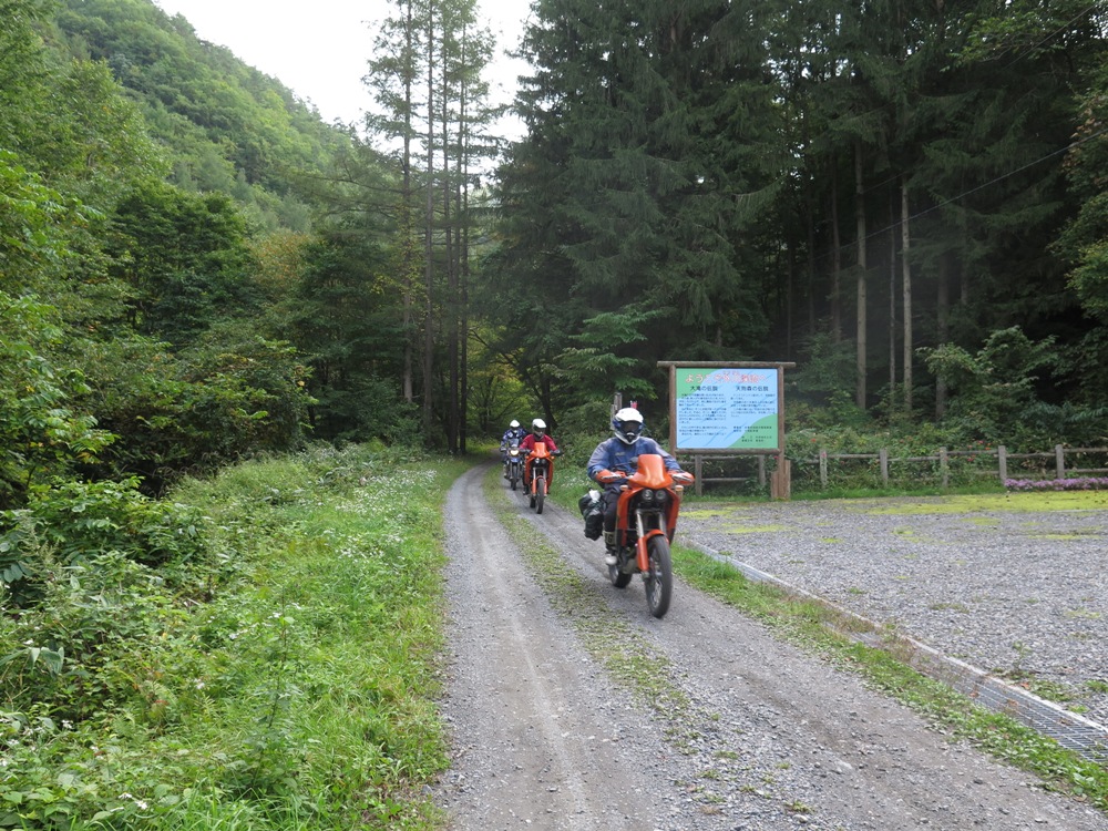 e0118908_2015559.jpg