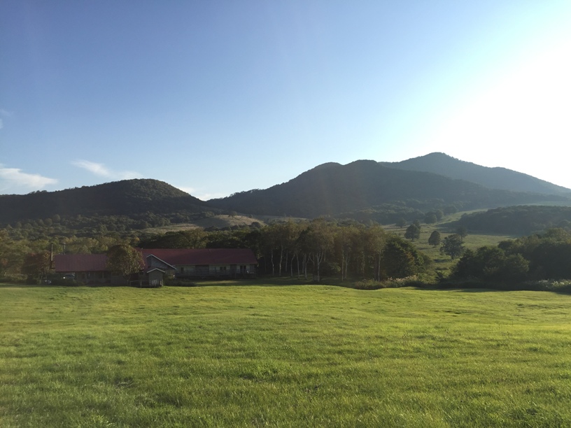 e0118908_2016484.jpg