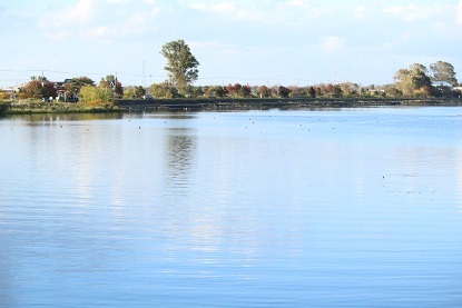 f0325309_17234383.jpg