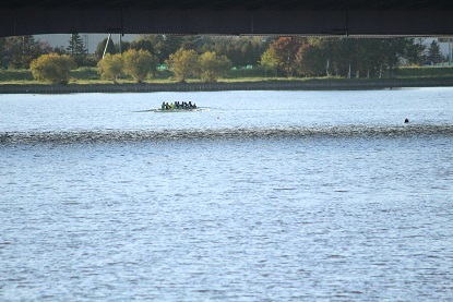 f0325309_17244094.jpg