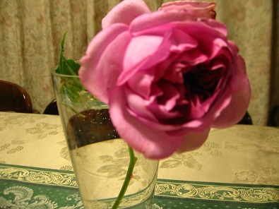 f0325309_17282326.jpg