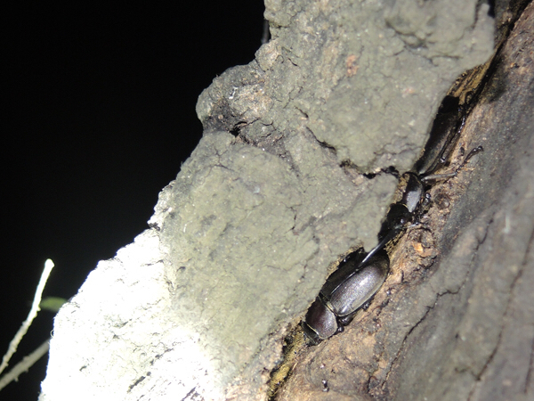 c0346119_23081229.jpg