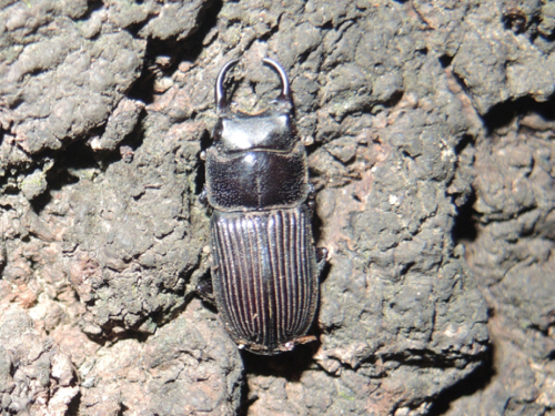 c0346119_23081258.jpg