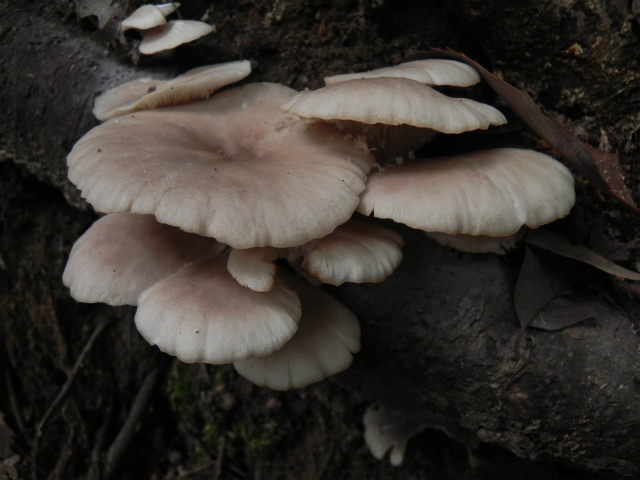 e0352220_21000770.jpg