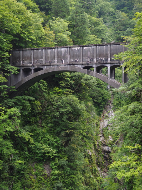 b0244424_1155438.jpg