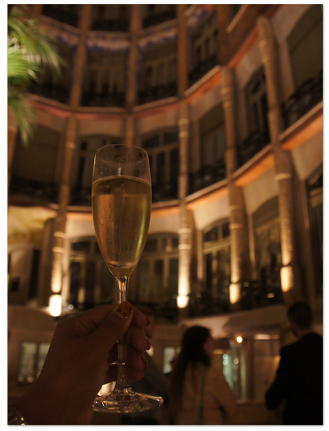 西地中海クルーズ(15) 「カサ・ミラ」食事付きナイトツアー_d0210324_733810.jpg