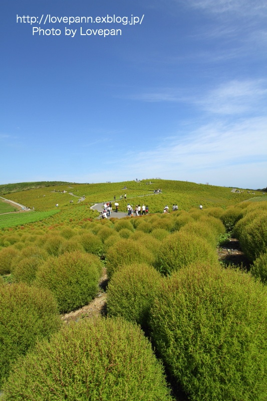 c0136926_22242490.jpg