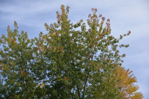 e0335926_20341604.jpg