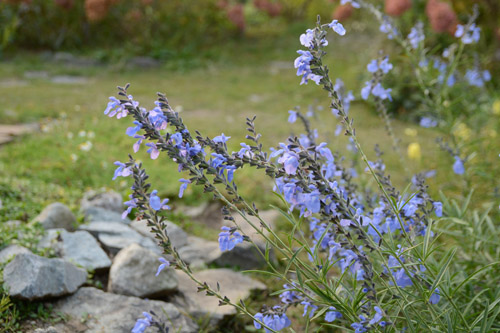 c0107129_220928.jpg