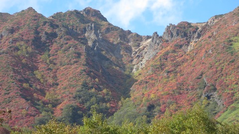 e0202031_21254358.jpg