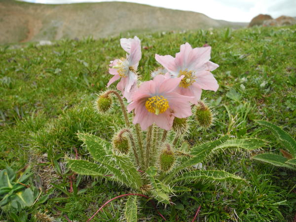 b0046933_12542524.jpg