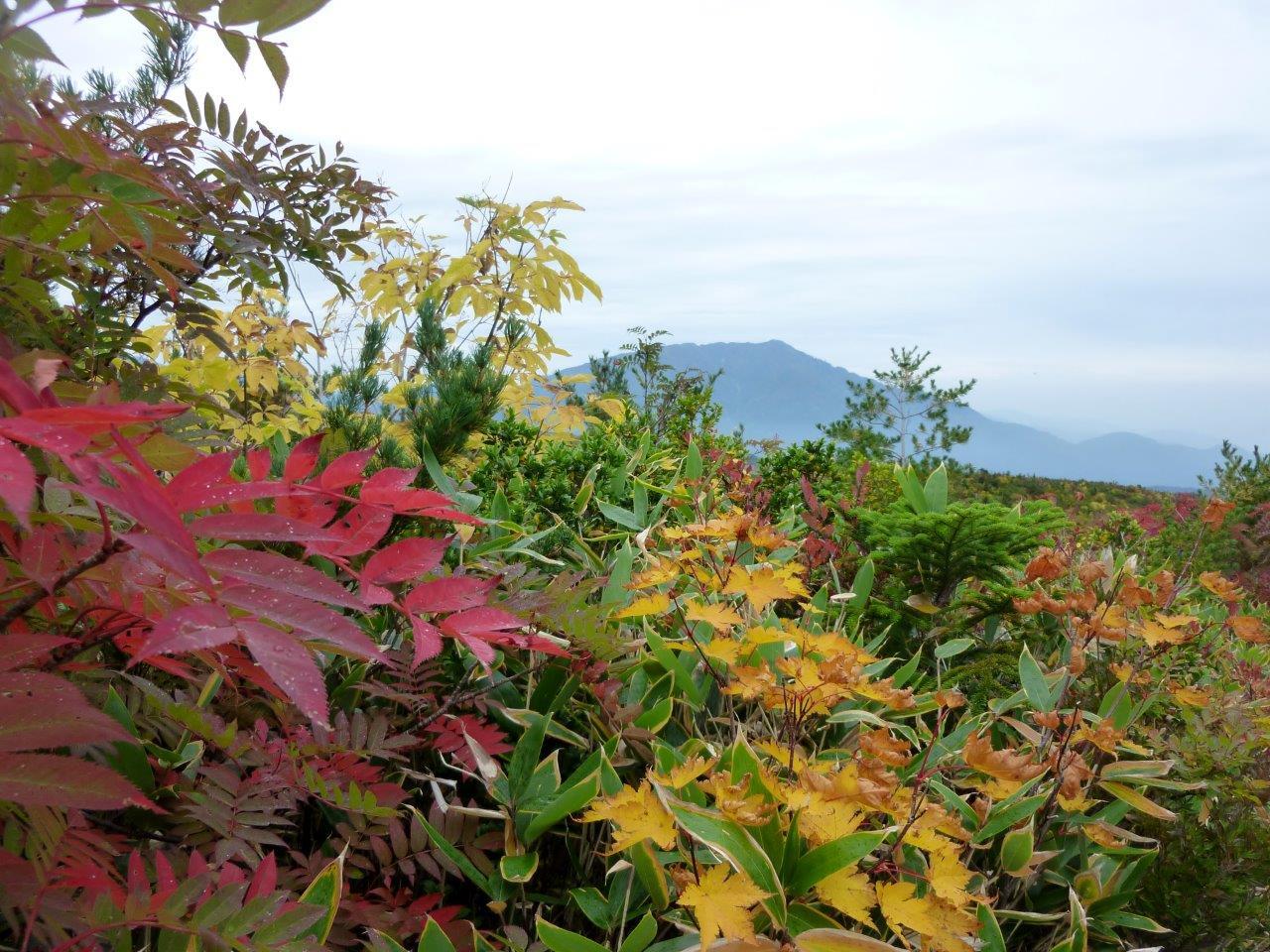 9/24 （木） 立山・大日三山 ③ （ 大日小屋～称名 ）_b0298935_22262507.jpg