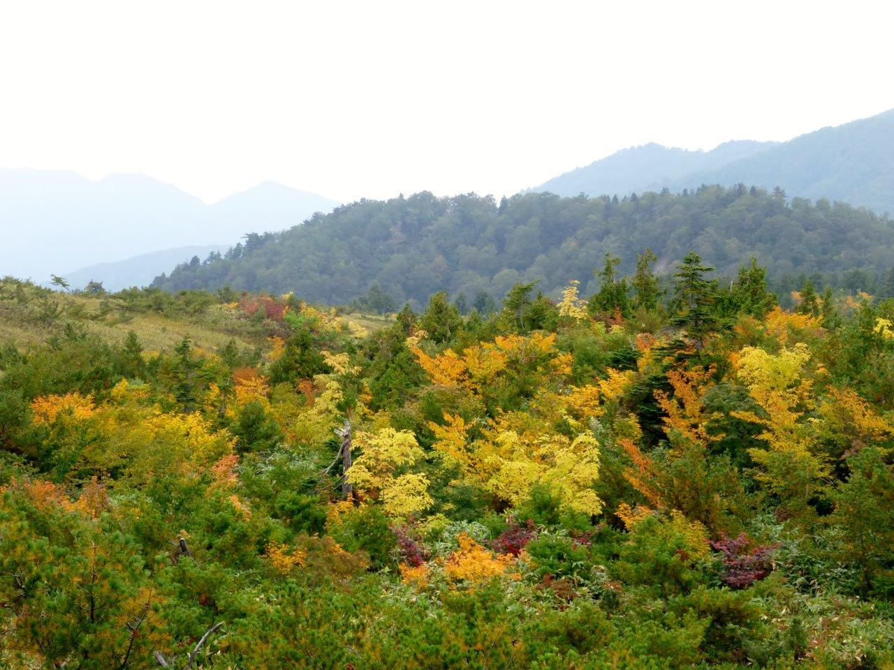 9/24 （木） 立山・大日三山 ③ （ 大日小屋～称名 ）_b0298935_22263002.jpg