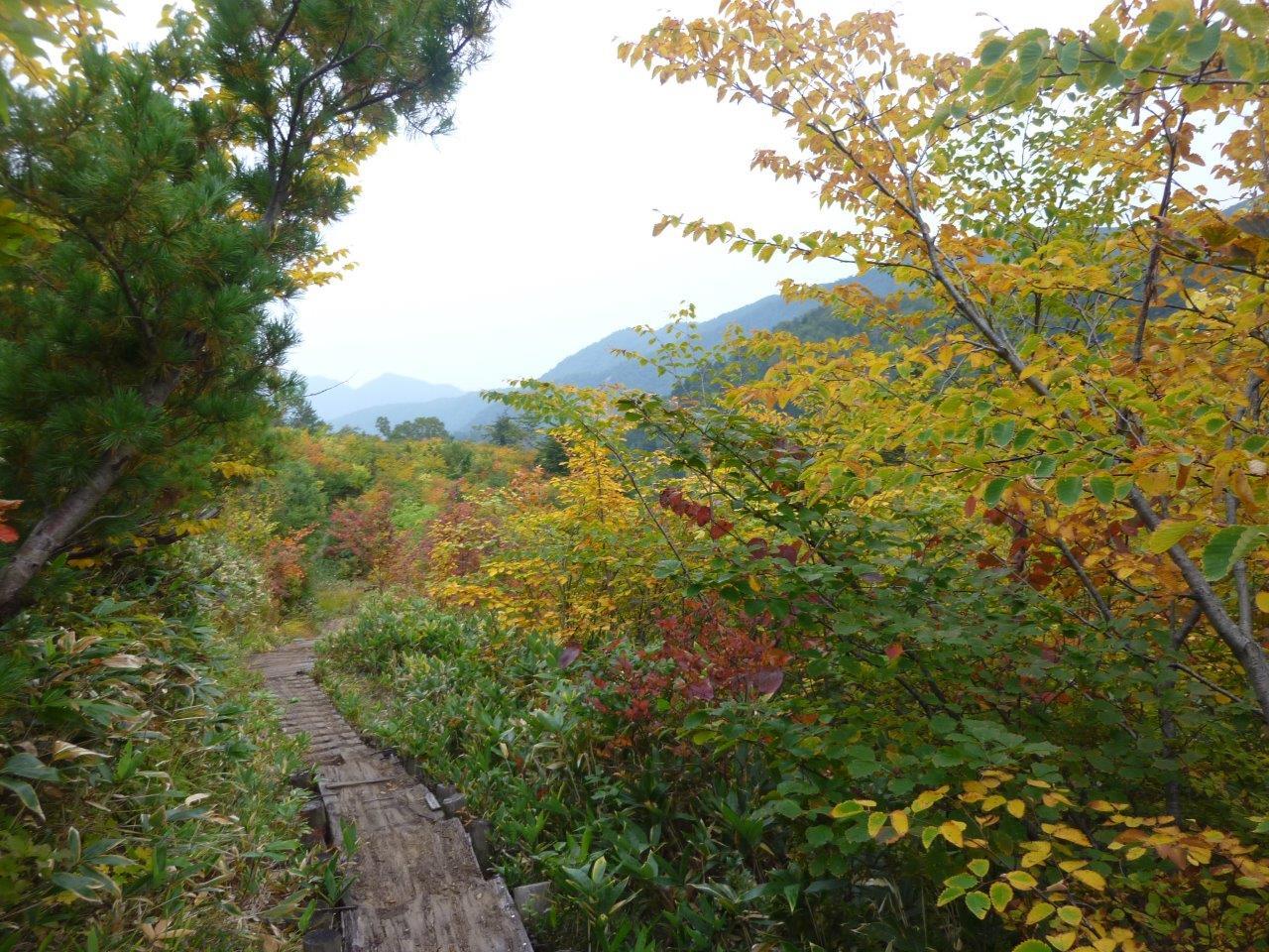 9/24 （木） 立山・大日三山 ③ （ 大日小屋～称名 ）_b0298935_22263249.jpg