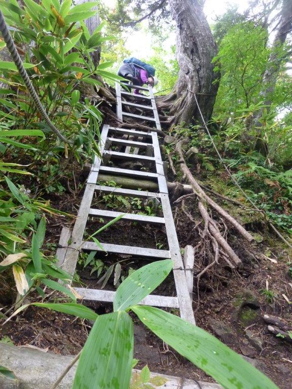 9/24 （木） 立山・大日三山 ③ （ 大日小屋～称名 ）_b0298935_22263816.jpg