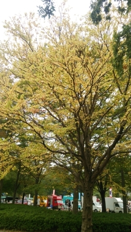 c0267235_22544894.jpg