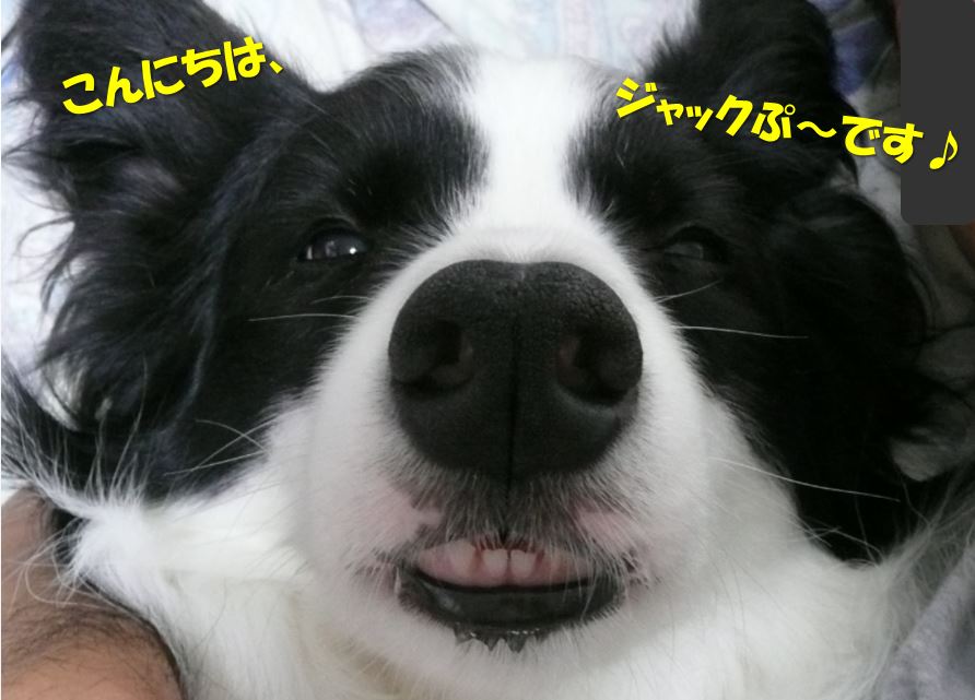 c0147241_15484450.jpg