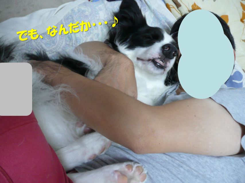 c0147241_15485528.jpg