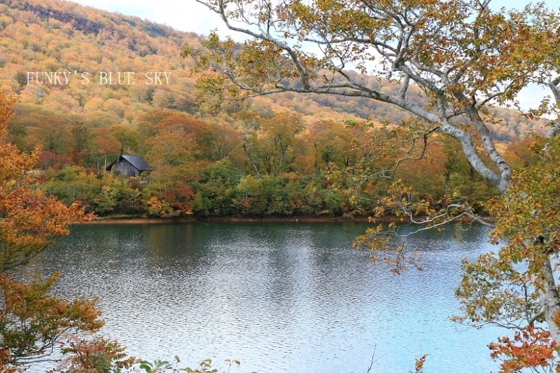 c0145250_11291352.jpg