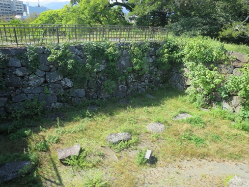f0202151_22424568.jpg