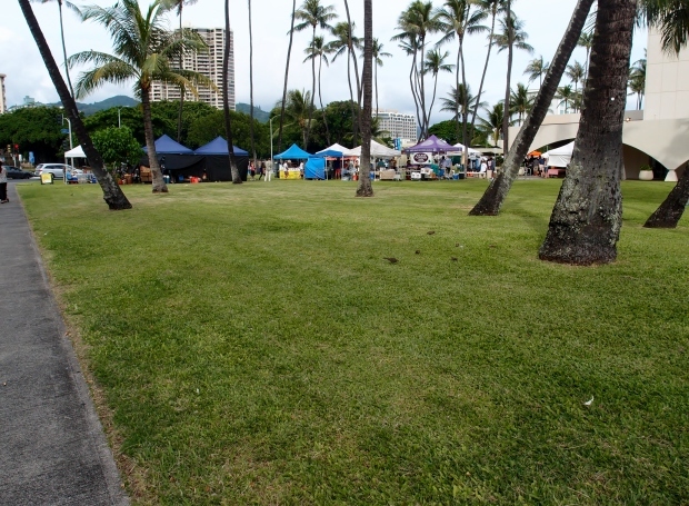 2015 Hawaii 8 ホノルルファーマーズマーケット_c0354352_19564214.jpg