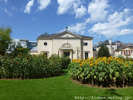 パリ植物園　Le jardin des plantes de Paris　_d0308567_07505103.png