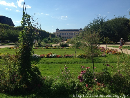 パリ植物園　Le jardin des plantes de Paris　_d0308567_07512210.png