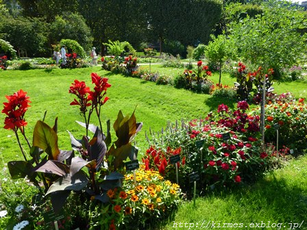 パリ植物園　Le jardin des plantes de Paris　_d0308567_07512918.png