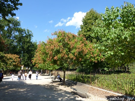 パリ植物園　Le jardin des plantes de Paris　_d0308567_07513576.png