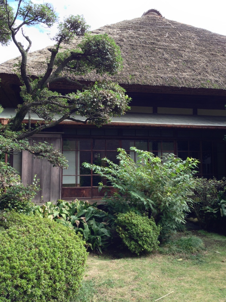 世田谷代官屋敷_c0310571_07143113.jpg