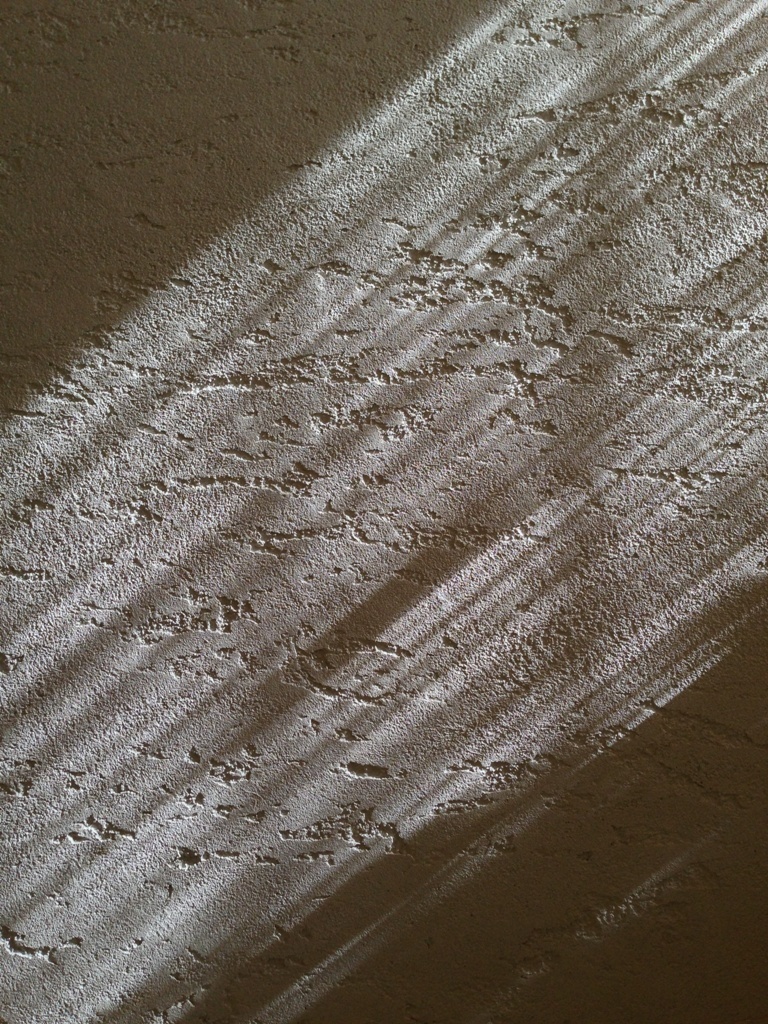 秋の木漏れ日_c0310571_07233554.jpg