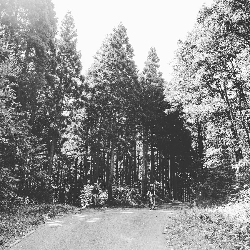 9月23日(水祝)に開催 「voyAge touring \'the tails 2\' 深入峠~雲月山~八幡原湿原~聖湖 045」_c0351373_18252681.jpg
