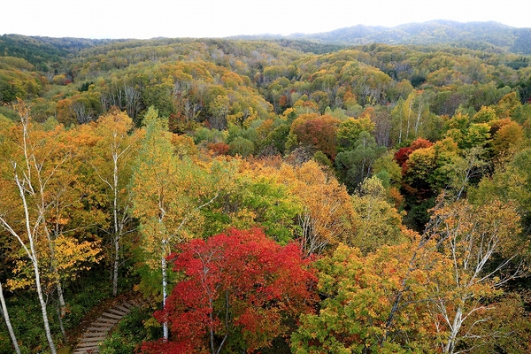 e0213873_22131354.jpg