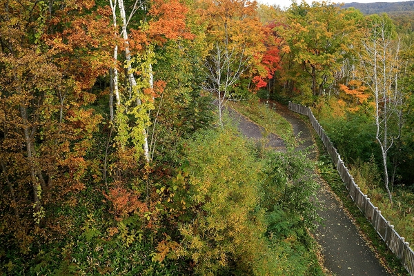 e0213873_22133584.jpg