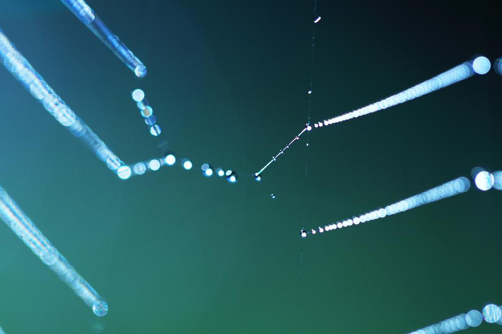 c0356480_22383927.jpg