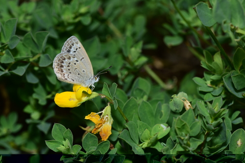 f0348480_17171995.jpg