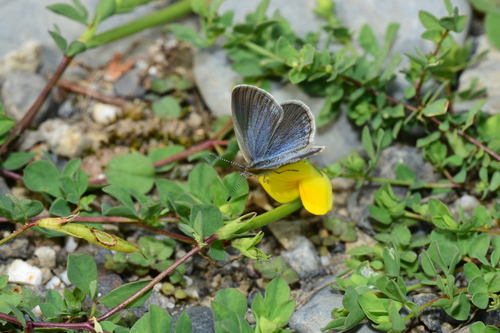 f0348480_17182012.jpg