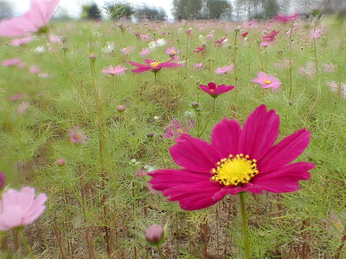 f0348480_1794883.jpg