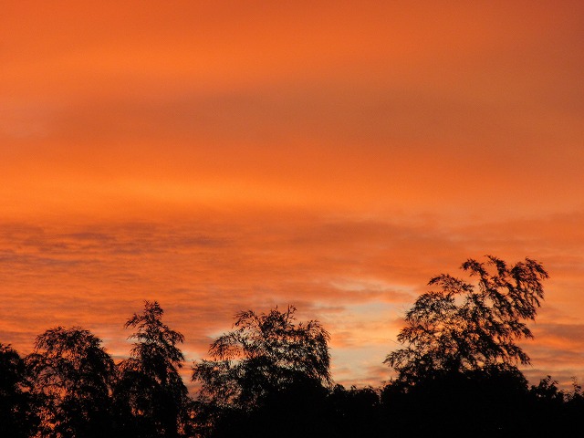 b0182884_23113115.jpg
