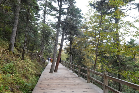 a0207588_2137891.jpg