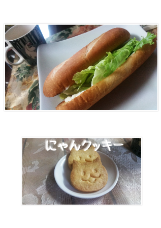 e0143298_1681141.png