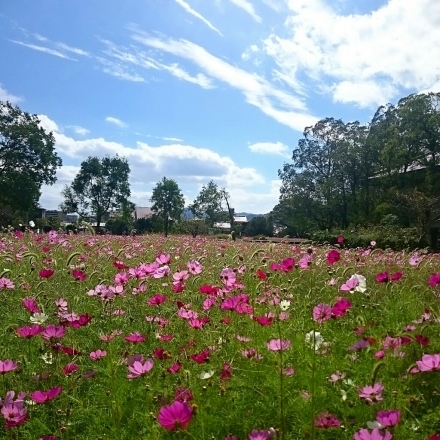 c0137300_19014740.jpg