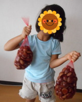 e0186500_20525050.png